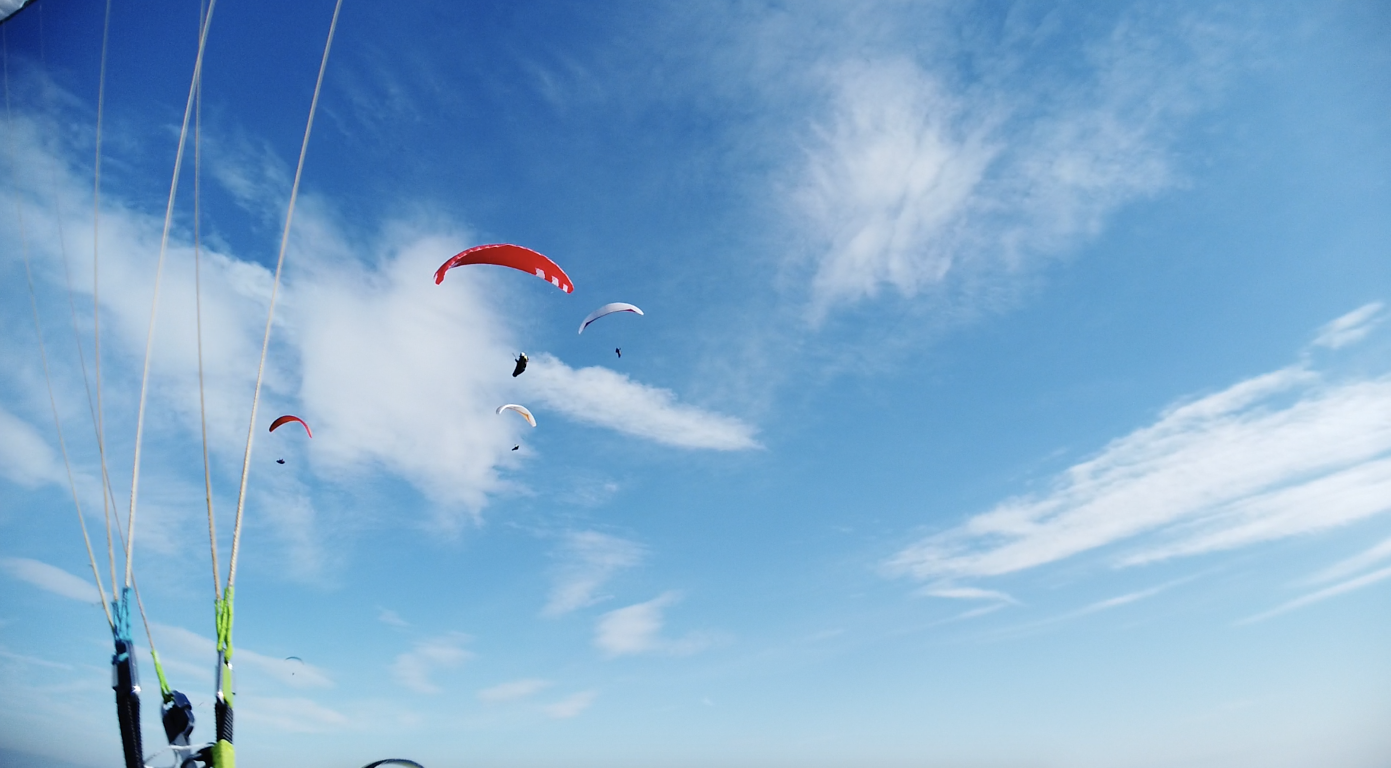 img20200328180245947519.png